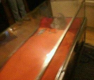 Bal Thackeray Dead body, Bal Thackeray Dead body photos, Bal Thackeray Dead body pics, Bal Thackeray Dead body pictures